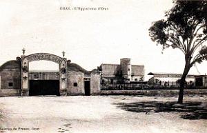 Oran-Saint-Eugene - Hippodrome